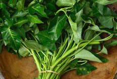 Ini Manfaat Sayur Kangkung untuk Tubuh Yang Jarang Diketahui