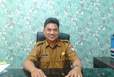 Target Rp250 Juta, Retribusi Pasar Baru Terkumpul Rp10 Juta