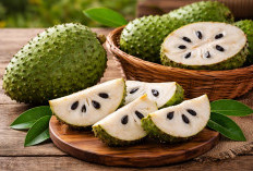 Manfaat buah sirsak bagi Kesehatan: Segar, Asam Manis, dan Kaya Khasiat
