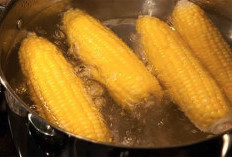 Tips Merebus Jangung Supaya Masak Sempurna dan Empuk Dengan Rasa Yang Manis Tanpa Gula