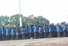 Gaji PPPK Paruh Waktu Berpariadi di Berbagai Daerah, Ada yang Ratusan Ribu