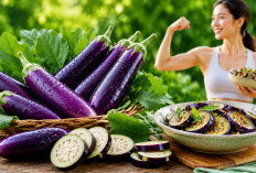 Manfaat Terong bagi Kesehatan: Sayuran Ungu Kaya Nutrisi untuk Menunjang Tubuh Sehat