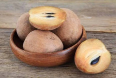 Mitos atau Fakta Makan Buah Sawo Bisa Terserang Malaria