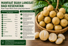 Manfaat Buah Langsat bagi Kesehatan: Buah Tropis Manis Asam yang Kaya Nutrisi