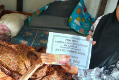 Hanya 6 Warga Desa Sidodadi Penerima Bantuan Tunai 2026