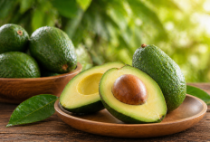 Manfaat buah alpukat bagi Kesehatan: Lemak Baik yang Dibutuhkan Tubuh