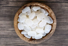 Resep Manisan Kolang Kaling Original Kenyal