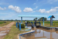 Petani Desa Sumber Makmur Berharap Jalan Inspeksi Irigasi Diperbaiki