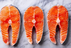Cara Memasak Salmon Agar Tidak Kering dan Tetap Lezat: Teknik Memasak yang Tepat untuk Hasil Sempurna!