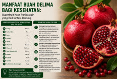 Manfaat Buah Delima bagi Kesehatan: Superfruit Kaya Punicalagin yang Baik untuk Jantung