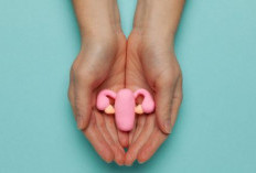 Vaksin HPV: Pencegahan Kanker Serviks yang Efektif!