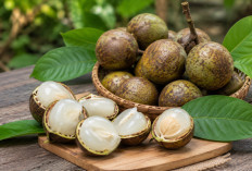 Manfaat Buah Matoa bagi Kesehatan: Buah Khas Indonesia yang Kaya Nutrisi dan Rasa Manis Alami
