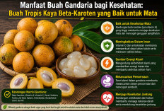 Manfaat Buah Gandaria bagi Kesehatan: Buah Tropis Kaya Beta-Karoten yang Baik untuk Mata