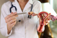 Konsultasi dengan Dokter Kandungan: Langkah Penting untuk Menjaga Kesehatan Rahim!