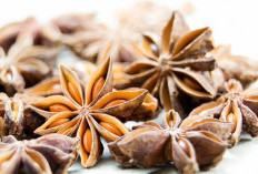 Manfaat Bunga Lawang untuk Meningkatkan Sistem Kekebalan Tubuh: Lawan Infeksi dengan Rempah Alami!