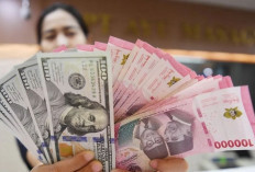 Nilai Mata Uang Suatu Negara Ditentukan dengan Ukuran Berikut