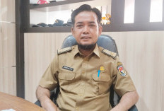 Jatah DBH Sawit Mukomuko Anggaran Turun 2026 Turun Drastis