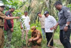 Pemda Mukomuko Bersama PT Agromuko Tanam Pohon Bersama, Menjaga Kesimbangan Iklim