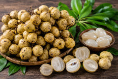 Manfaat Buah Namnam bagi Kesehatan: Buah Langka dengan Rasa Asam Segar yang Kaya Nutrisi