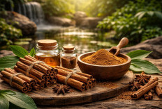 Kayu Manis: Rempah Manis yang Ternyata Membantu Mengontrol Gula Darah dan Menjaga Imunitas