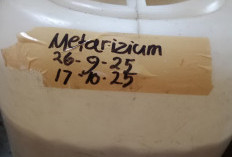 Produk Organik Efektif Atasi Hama dan Penyakit Tanaman Petani