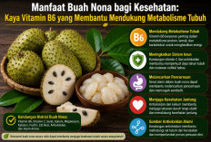 Manfaat Buah Nona bagi Kesehatan: Kaya Vitamin B6 yang Membantu Mendukung Metabolisme Tubuh