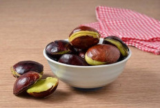 Dikenal Miliki Aroma Menyengat, Ini Manfaat untuk Tubuh Jika Suka Makan Jengkol