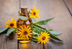 Manfaat Minyak Bunga Matahari untuk Kulit: Melembapkan, Mencerahkan, dan Melindungi!