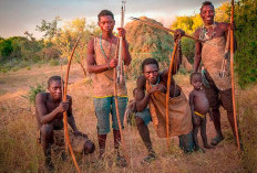 Suku Hadzabe, Masyarakat Ahli Berburu Yang Masih Ada dan Viral di Konten Medsos