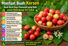 Manfaat Buah Kersen bagi Kesehatan: Buah Kecil Kaya Flavonoid yang Baik untuk Melindungi Sel Tubuh