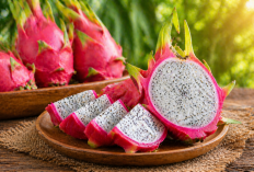 Manfaat buah naga bagi Kesehatan: Cantik, Segar, dan Kaya Antioksidan