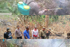 Dengan Peralatan Sederhana, Polisi dan Masyarakat Berhasil Padamkan Kebakaran Lahan di Sendang Mulya