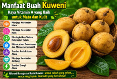 Manfaat Buah Kuweni bagi Kesehatan: Kaya Vitamin A yang Baik untuk Mata dan Kulit