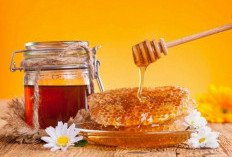 Resep Minuman Berbuka dengan Madu yang Menyegarkan dan Menyehatkan Tubuh