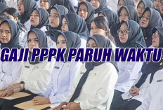 Gaji PPPK Paruh Waktu Mukomuko Rp 1 Juta dan Ada 5 Jenis Tunjangan, Nuntut Lebih Bisa Disanksi