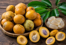Manfaat Buah Gandaria bagi Kesehatan: Buah Tropis Nusantara yang Kaya Vitamin dan Antioksidan