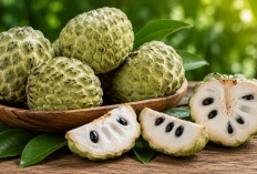 Manfaat Buah Srikaya bagi Kesehatan: Buah Manis Lembut yang Kaya Vitamin dan Mineral