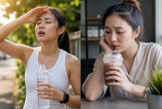 Haus, Tapi Pilih Minuman Manis: Kenapa Air Putih Sering Kalah?