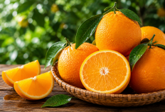 Manfaat Buah Jeruk bagi Kesehatan: Buah Kaya Vitamin C yang Menyegarkan dan Menyehatkan