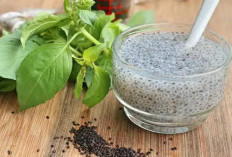 Manfaat Selasih untuk Kesehatan: Mulai dari Menyejukkan Tubuh Hingga Menurunkan Tekanan Darah