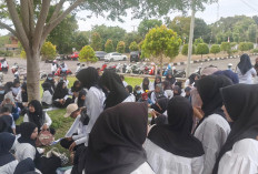 Ditiadakan!, Sinyal Gaji Honorer Mukomuko di APBD 2026