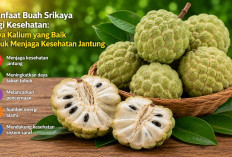 Manfaat Buah Srikaya bagi Kesehatan: Kaya Kalium yang Baik untuk Menjaga Kesehatan Jantung