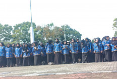 Agar PPPK Paruh Waktu Tak Dirumahkan, Pemda Berharap Belanja Pegawai 30 Persen Dipertimbangkan