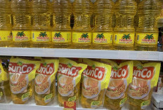 Harga Migor Berangsur Naik Imbas Dari Mahalnya Kemasan Plastik 