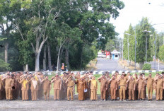 Tidak Semua ASN Kerja Dari Rumah, Pejabat dan Sektor Pelayanan Tetap Ngantor