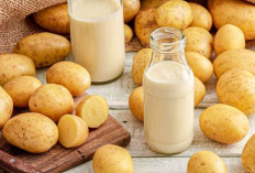 Manfaat Kentang untuk Pencernaan: Sumber Serat Alami untuk Mencegah Sembelit!