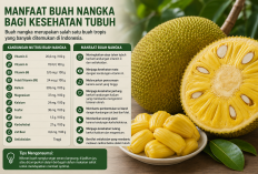 Buah nangka merupakan salah satu buah tropis yang banyak ditemukan di Indonesia.