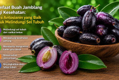 Manfaat Buah Jamblang bagi Kesehatan: Kaya Antosianin yang Baik untuk Melindungi Sel Tubuh