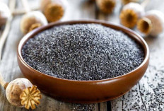 Manfaat Chia Seed untuk Pencernaan Lancar: Atasi Sembelit dengan Cara Alami!