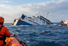 Kapal Virgo Transport 8 Tenggelam di Laut Jawa, 140 Orang Masih Dalam Pencarian